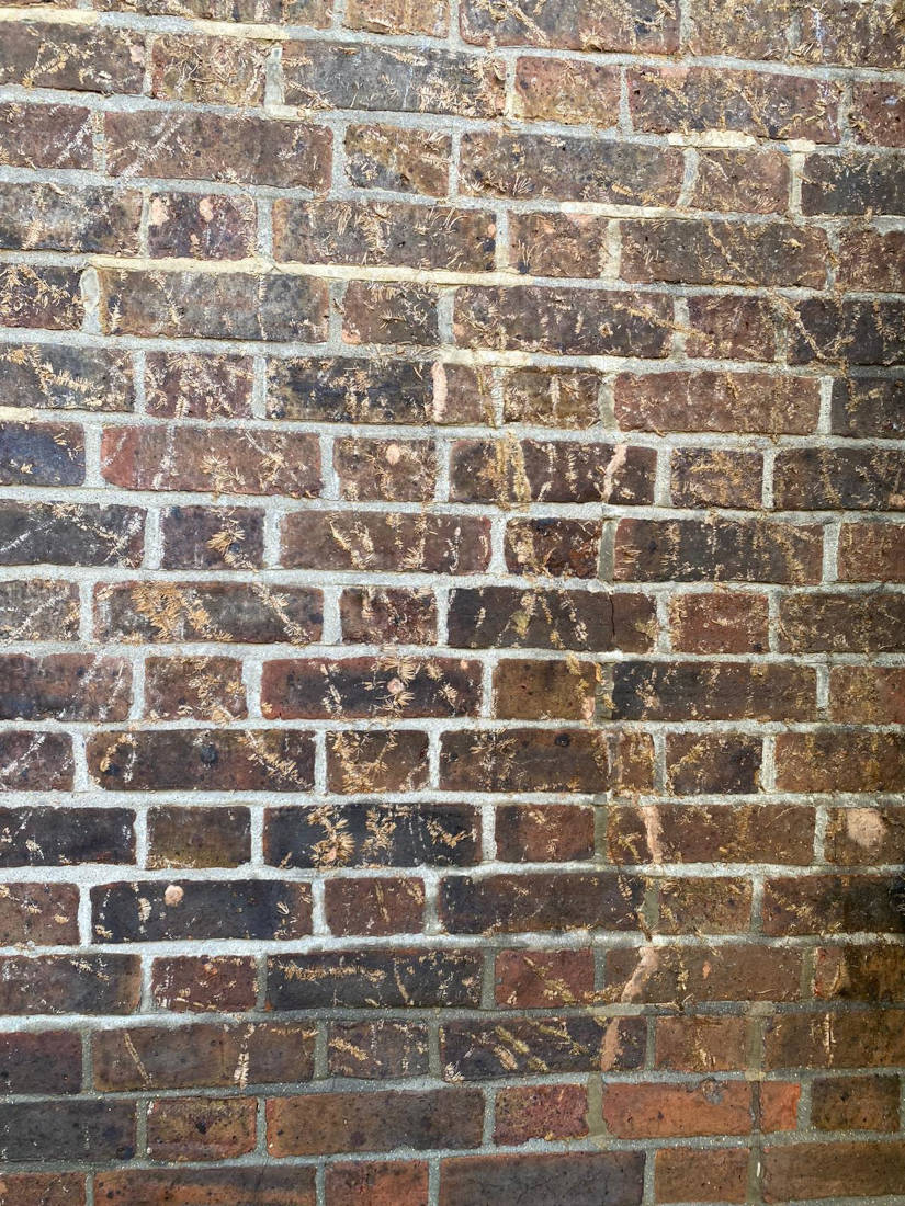 picture of a brick wall before steam brick cleaning